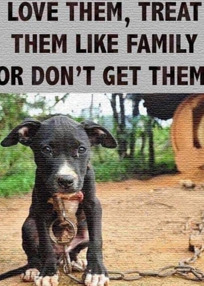 Welcome to my closet!! 😁🤗 - Picture 7 of 12